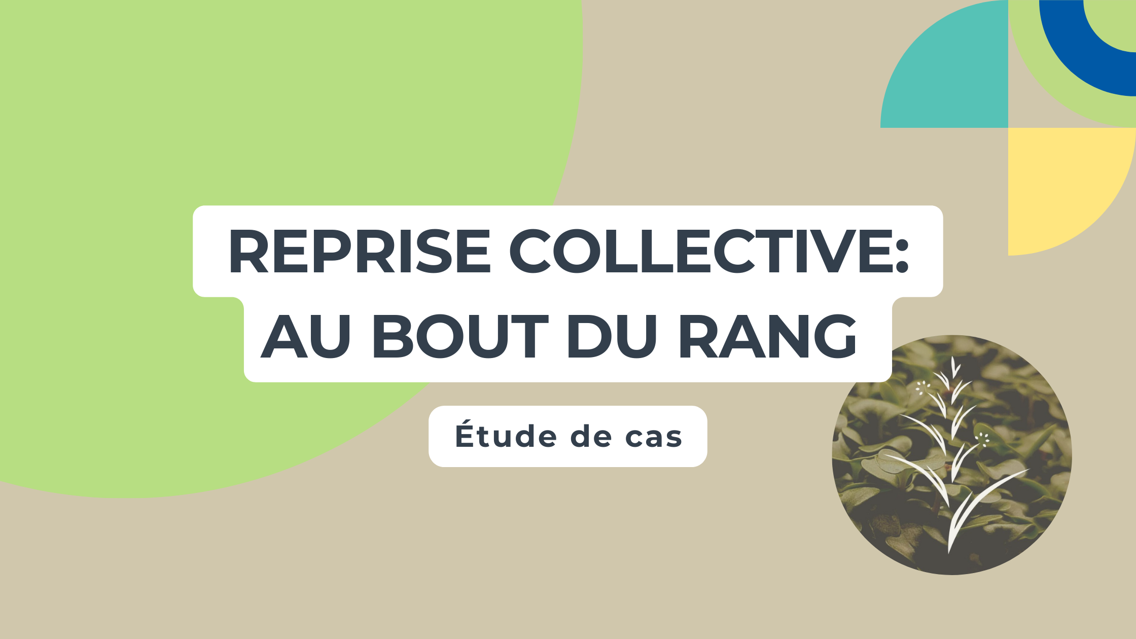 Reprise collective: Coop Au bout du rang